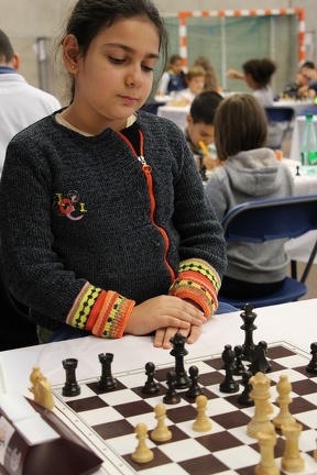 IMG 3081
