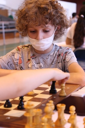 IMG 7441