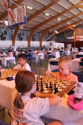 IMG 7786