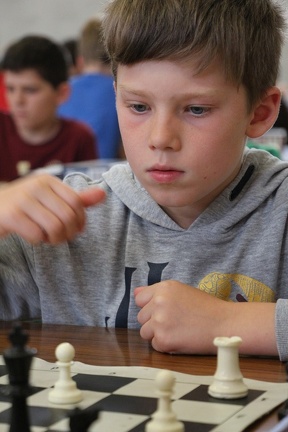 IMG 2419