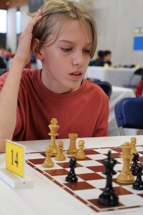 IMG 2750