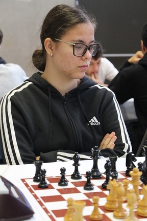 IMG 2798