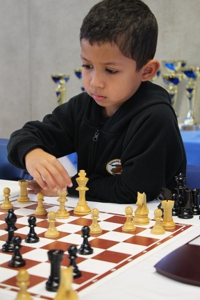 IMG 2876