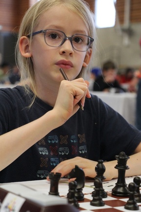 IMG 2933