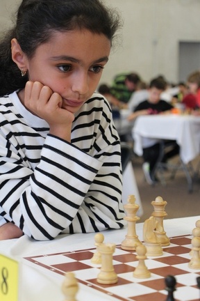 IMG 2993