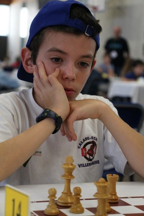 IMG 3064