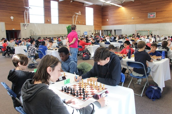 IMG 3176