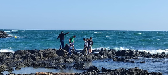 WhatsApp Image 2024-10-31 at 11 32 06