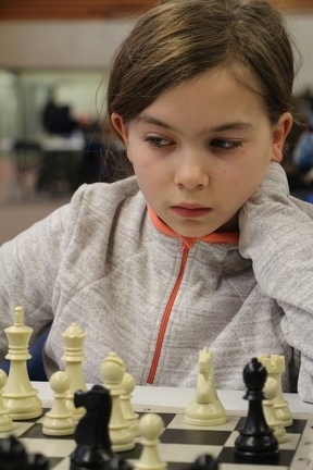 IMG 4504