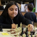IMG 4684
