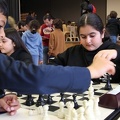 IMG 4685