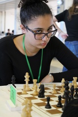 IMG 7006