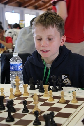 IMG 7377