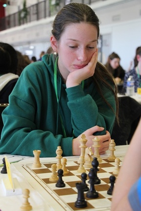 IMG 7382
