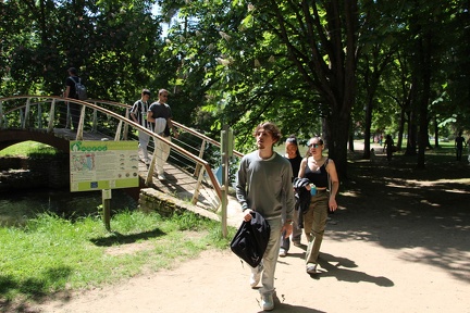 IMG 7431