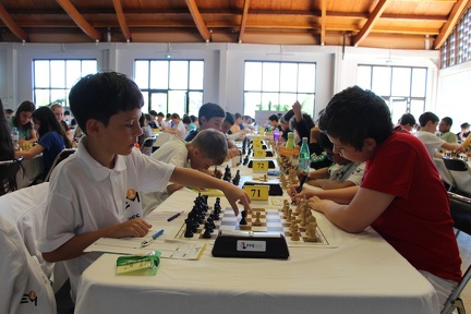 IMG 7435