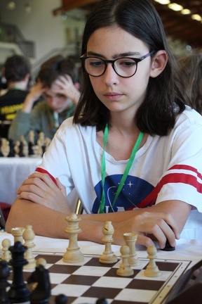 IMG 7461