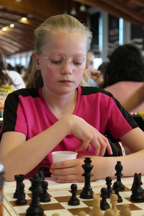 IMG 7481