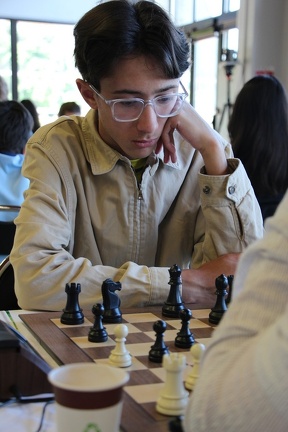 IMG 7599