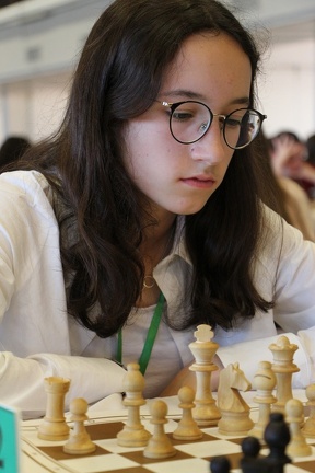 IMG 7623