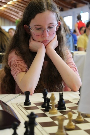 IMG 7687