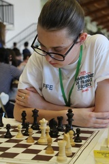 IMG 7728