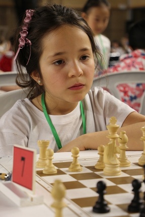 IMG 7782
