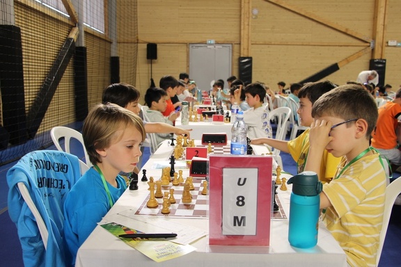 IMG 7806