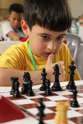 IMG 7811