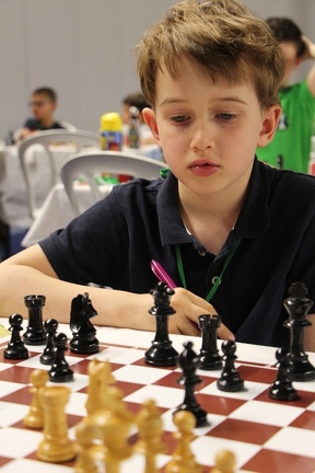 IMG 7829