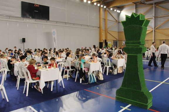 IMG 7852