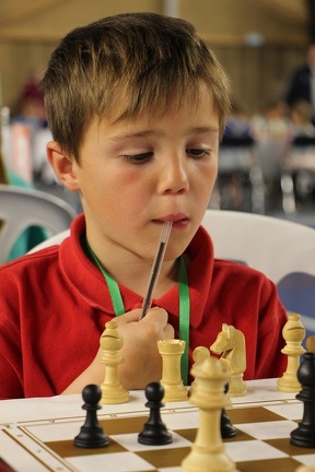 IMG 7883