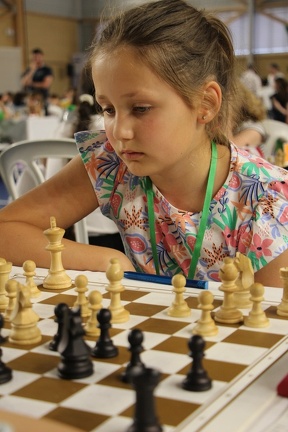 IMG 9095