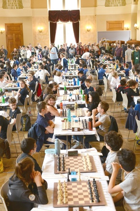 505124689 1208476194641826 9120441261421055196 n