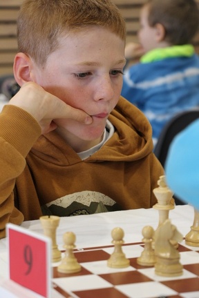 IMG 1953